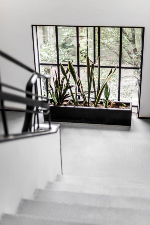 Hotel Itto Condesa Mexico City Luaran gambar